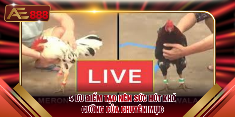 4 ưu điểm tạo nên sức hút khó cưỡng của chuyên mục