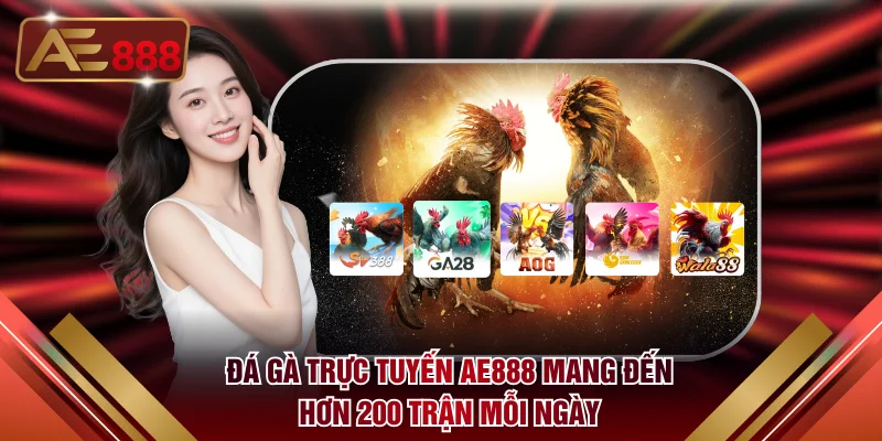 Đá gà trực tuyến AE888 mang đến hơn 200 trận mỗi ngày