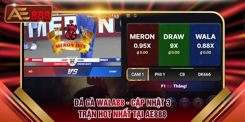 Giới thiệu chi tiết thông tin đá gà Wala88 AE888 cực hot